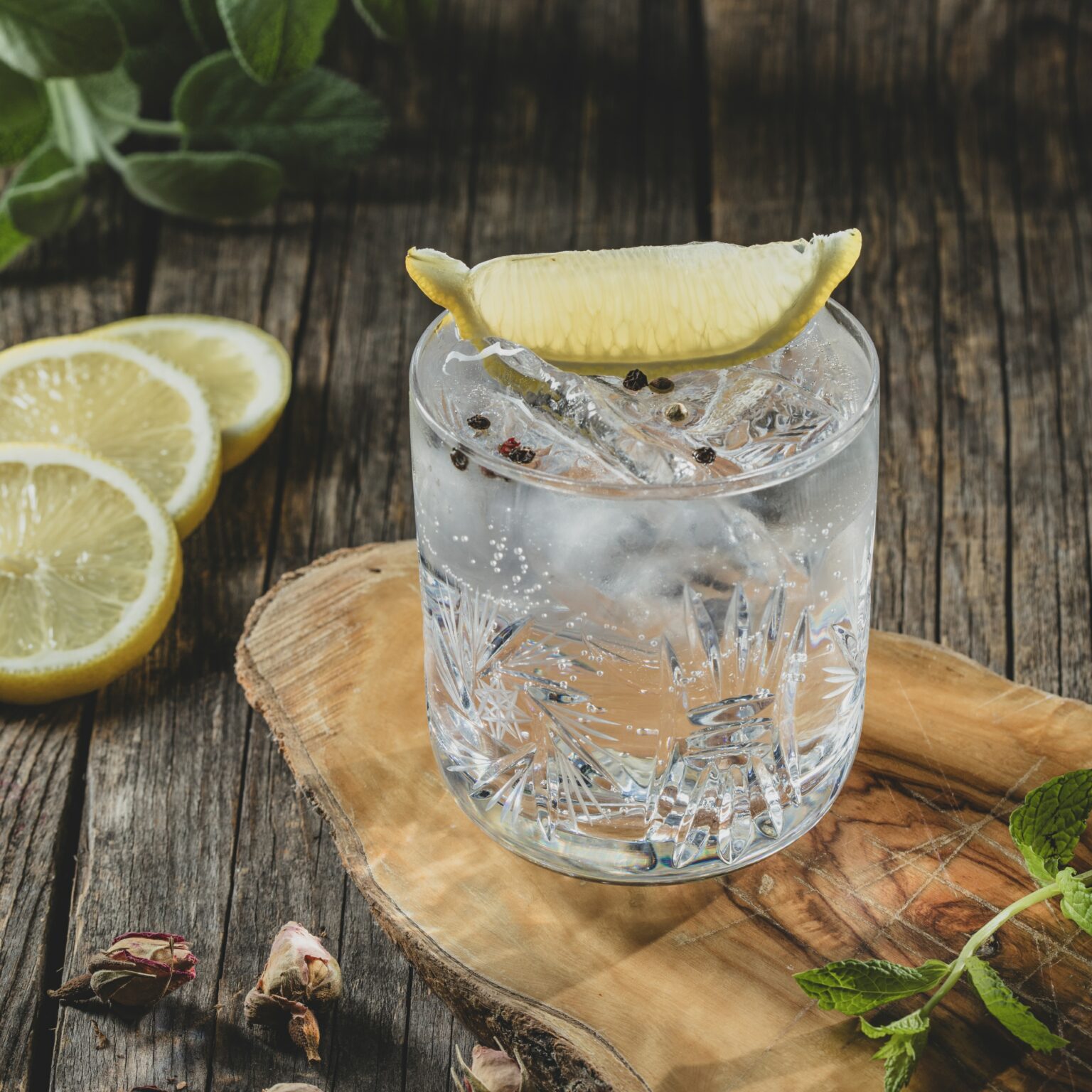 Classic Gin & Tonic koktel