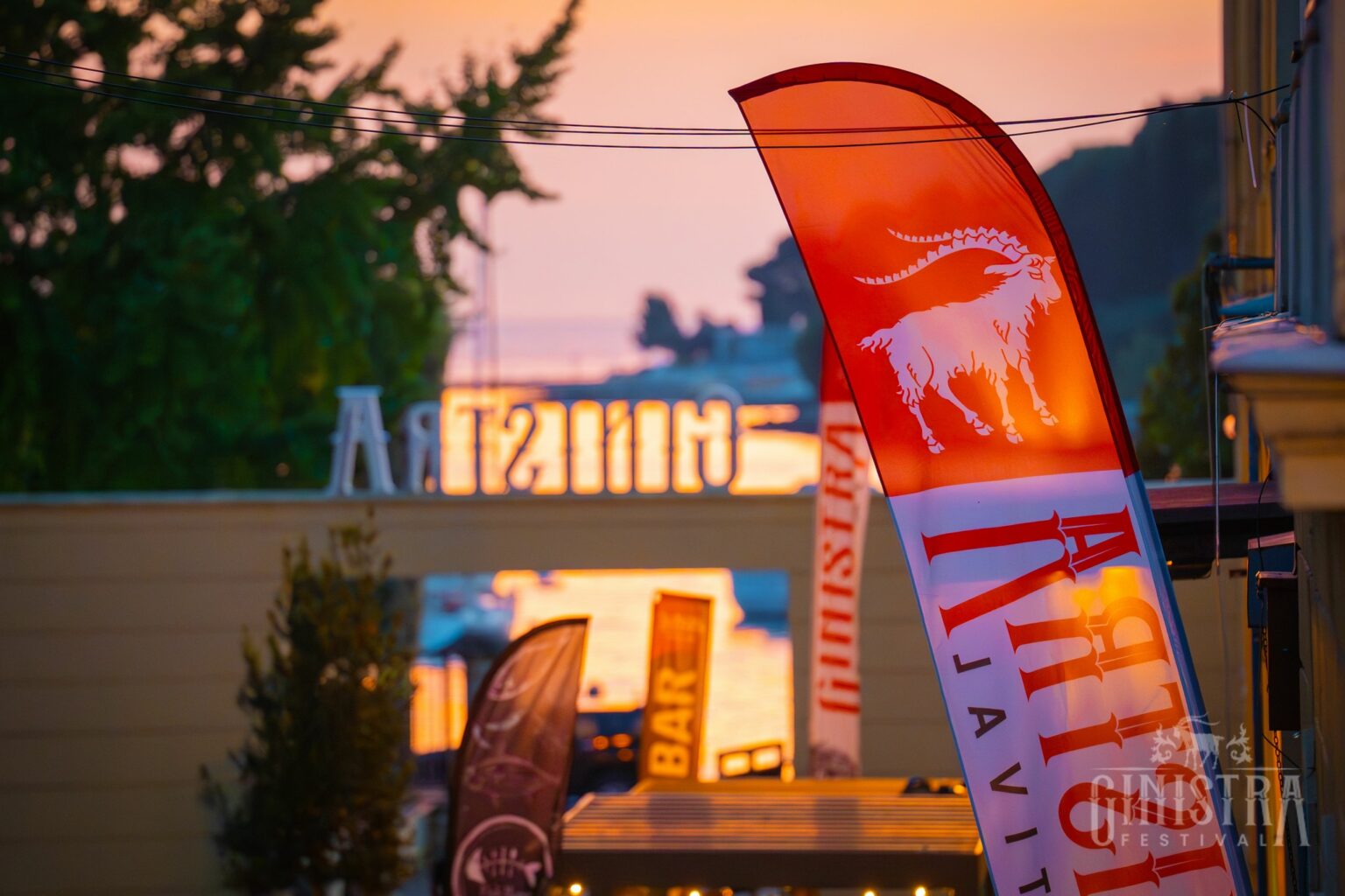 GinIstra- Vergilas Craft Distillery Premium Sloe Gin Whitehead